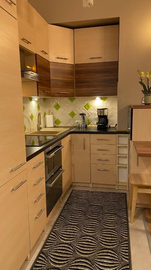 Lublinbnb - Exclusive Family Apartment ------ In The Heart Of Lublin -------------------------------- Bedroom & Living Room & Kitchen Екстер'єр фото